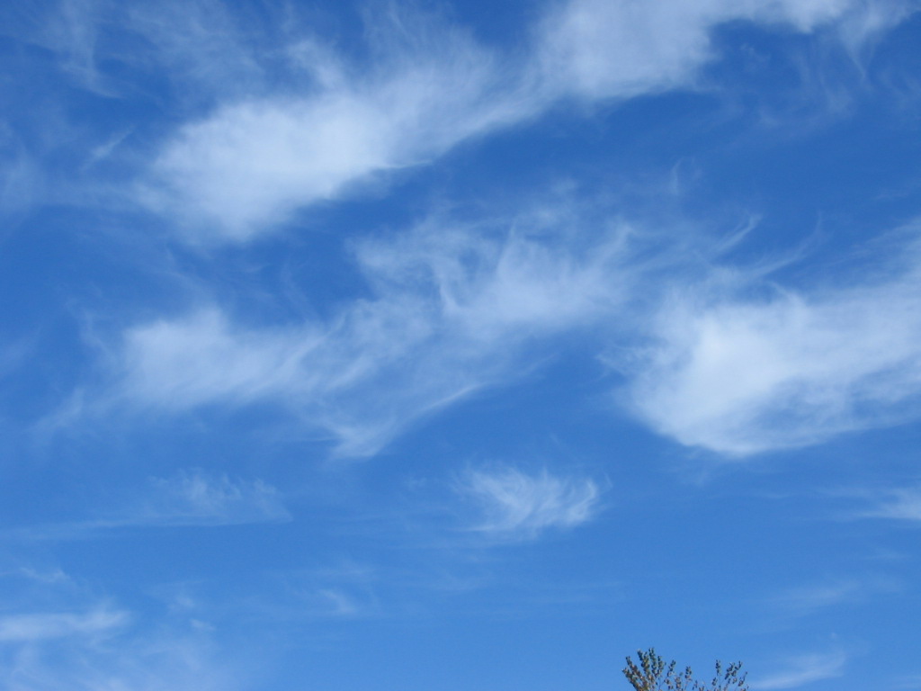 http://www.victoriaweather.ca/resources/Clouds/cirrus.jpeg