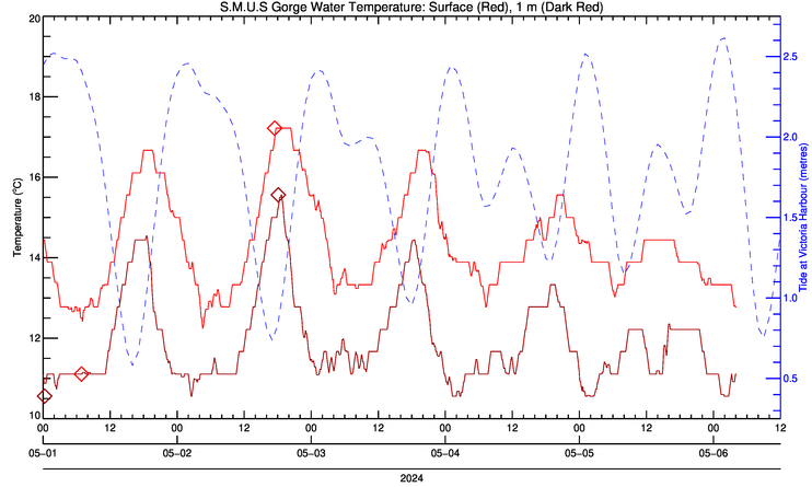 plot of sea water temperature data